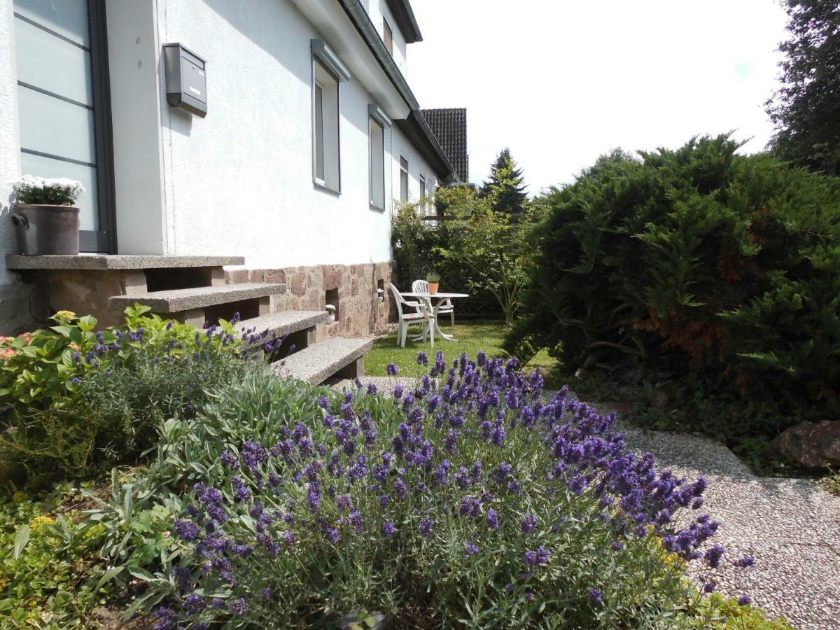 Ferienwohnung Bei Heike & Dirk Kassel Exteriör bild